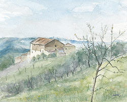 Hillside near San Casciano, Tuscany